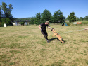 IMG_20220623_165047.jpg