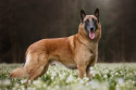 Messenger_creation_7f72a05e-c55a-486e-a580-c05f2925b113.jpeg
